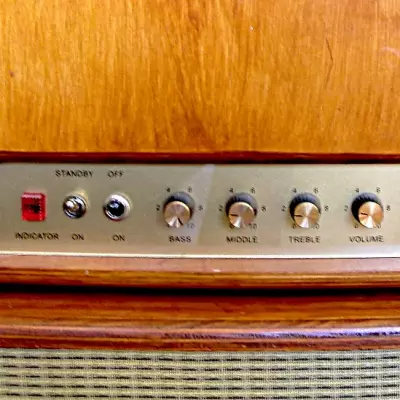 GF AUDIO | Actus | 18W TMB le tremolo bi-canal par excellence